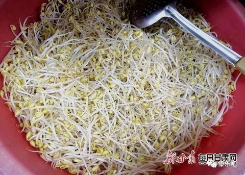 康樂(lè)人你買過(guò)嗎 甘肅這16批次食品抽檢不合格