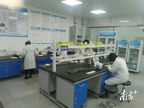 守護 舌尖上的安全 梅州興寧市場監管局食用農產品快檢中心投入使用