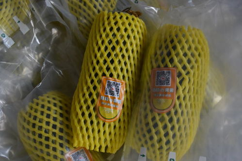 全市農(nóng)產(chǎn)品質(zhì)量安全暨食用農(nóng)產(chǎn)品合格證推進(jìn)現(xiàn)場會在桃園鎮(zhèn)召開