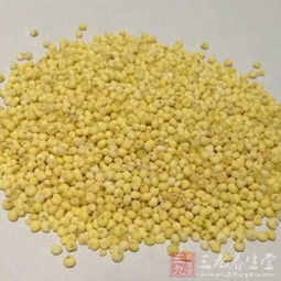 湖南推動食品安全信用評價與行業(yè)準(zhǔn)入掛鉤