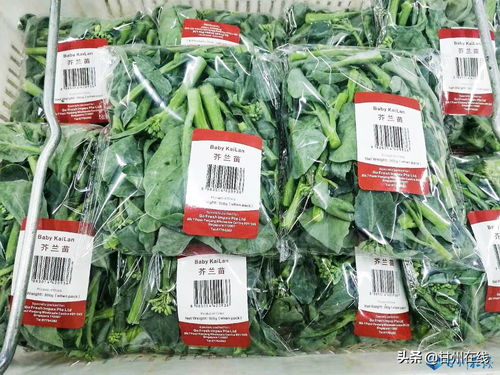 甘州 全力打造 甘州綠鮮 食用產品區域品牌