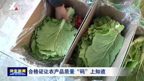 合格證讓農產品質量 碼 上知道