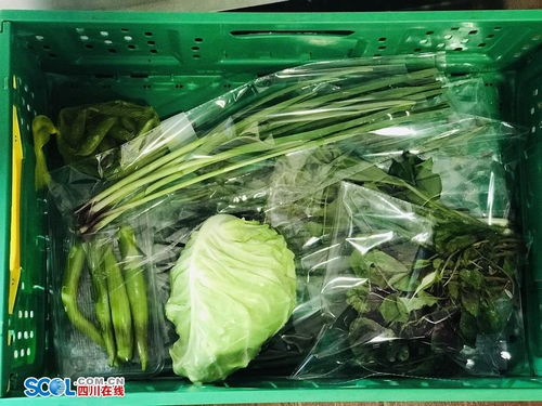樂山啟動食用農產品合格證制度試點 800噸農產品用上新名片